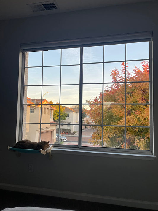 Elevating Outdoor Bliss: Your Guide to the Best Cat Window Perch Outside