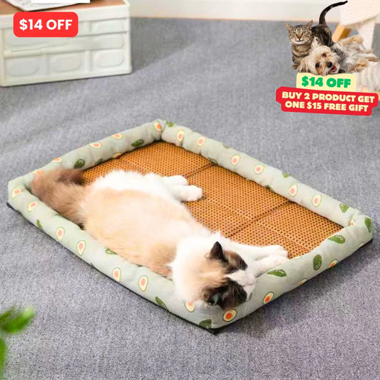 Summer cat bed - Best cat niche product in summer