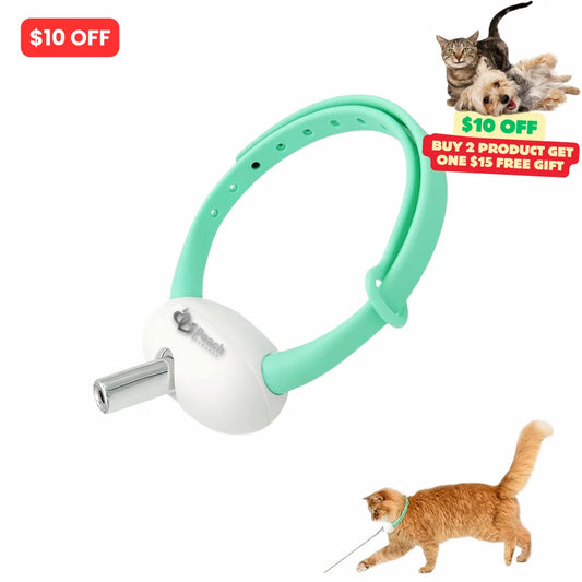 Interactive Playing Toys - Cat owner must known toy
