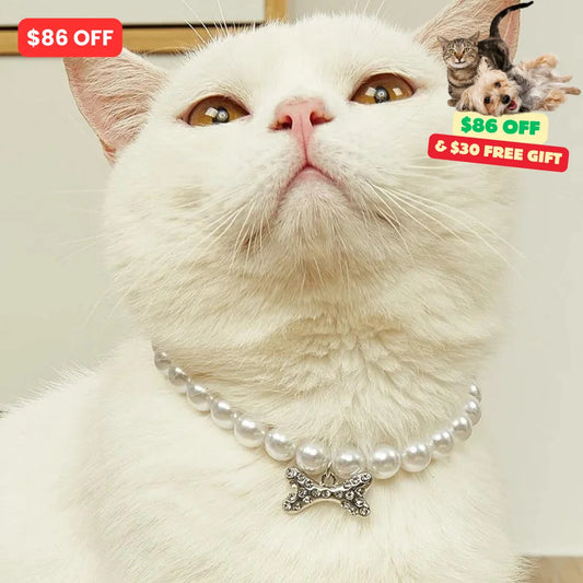 Cat Jewelry Necklace -Cat & Cat's owners fashion 