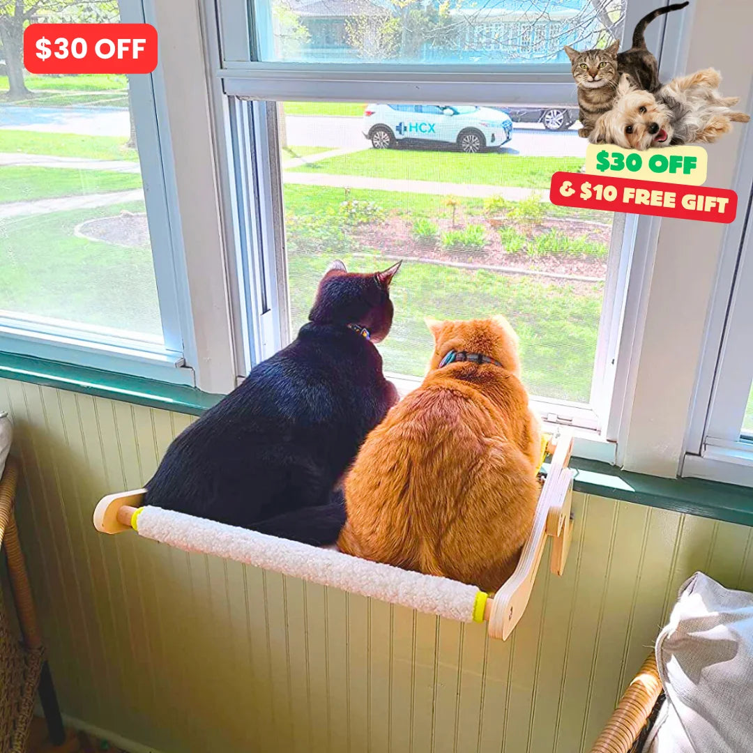 Feline Window Perch | No-Drill Cat Hammock with Adjustable Legs