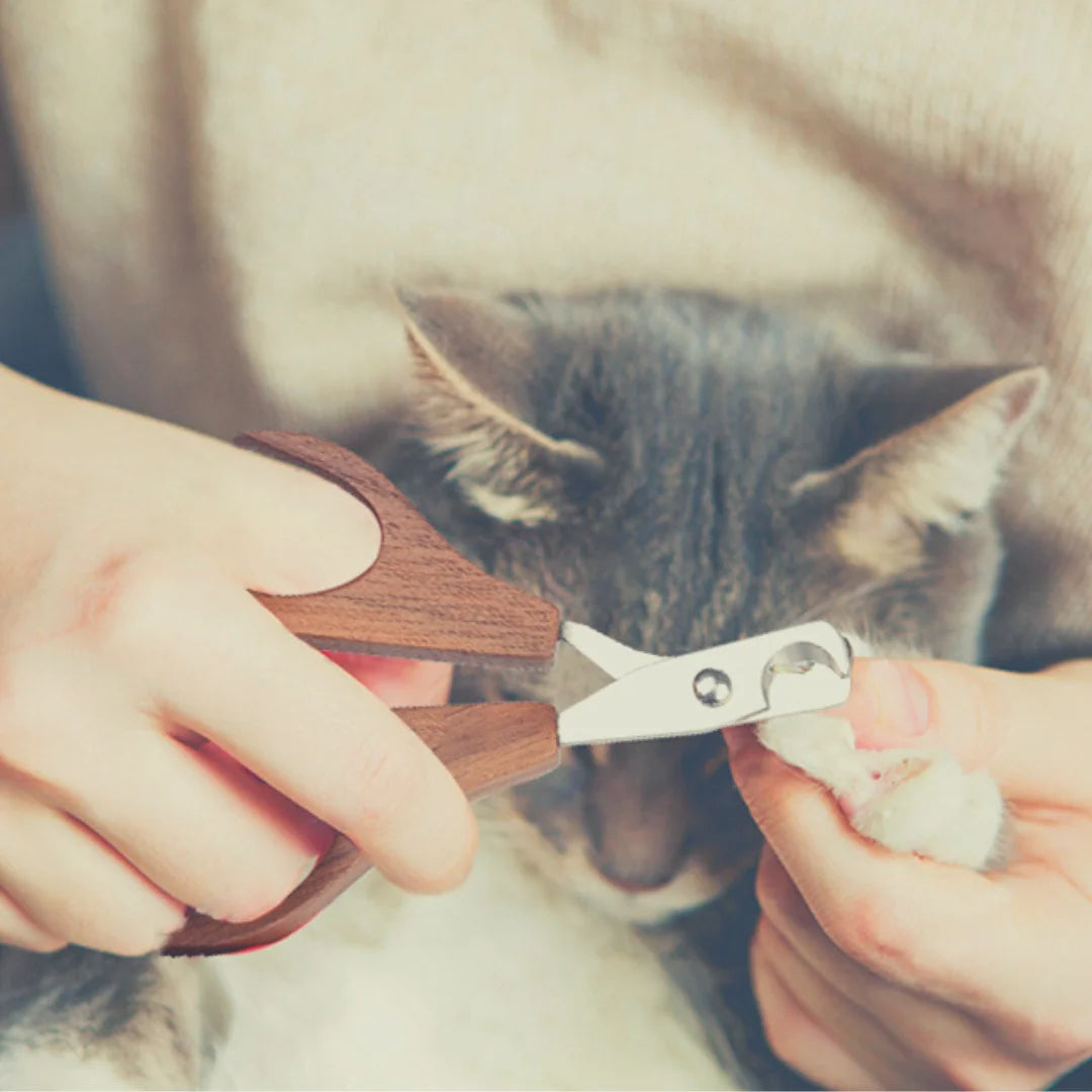 PurrPamper™ - Long Hair Grooming Set for Cats