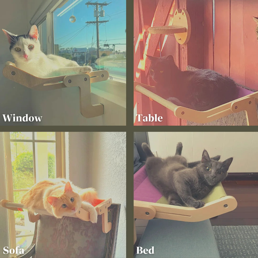 Window cat perch- Different usage