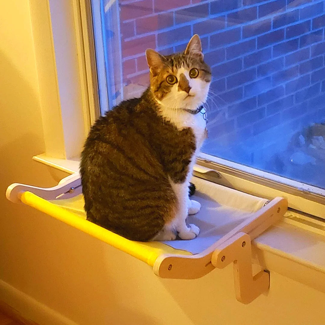 Window cat perch - Yellow color